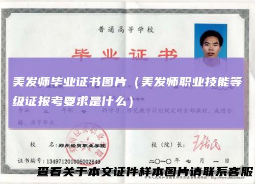 美发师毕业证书图片（美发师职业技能等级证报考要求是什么）