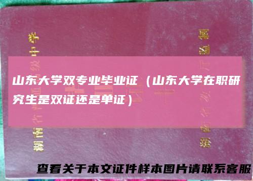 山东大学双专业毕业证（山东大学在职研究生是双证还是单证）