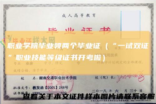 职业学院毕业领两个毕业证（“一试双证”职业技能等级证书开考啦）