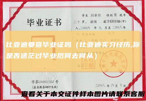 比亚迪要查毕业证吗（比亚迪实习经历,你是否迷茫过毕业后何去何从）