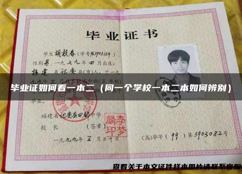 毕业证如何看一本二（同一个学校一本二本如何辨别）