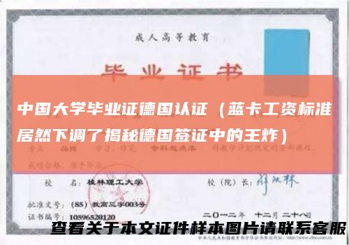 中国大学毕业证德国认证（蓝卡工资标准居然下调了揭秘德国签证中的王炸）