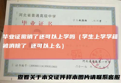 毕业证撤销了还可以上学吗(学生上学学籍被消除了还可以上么)