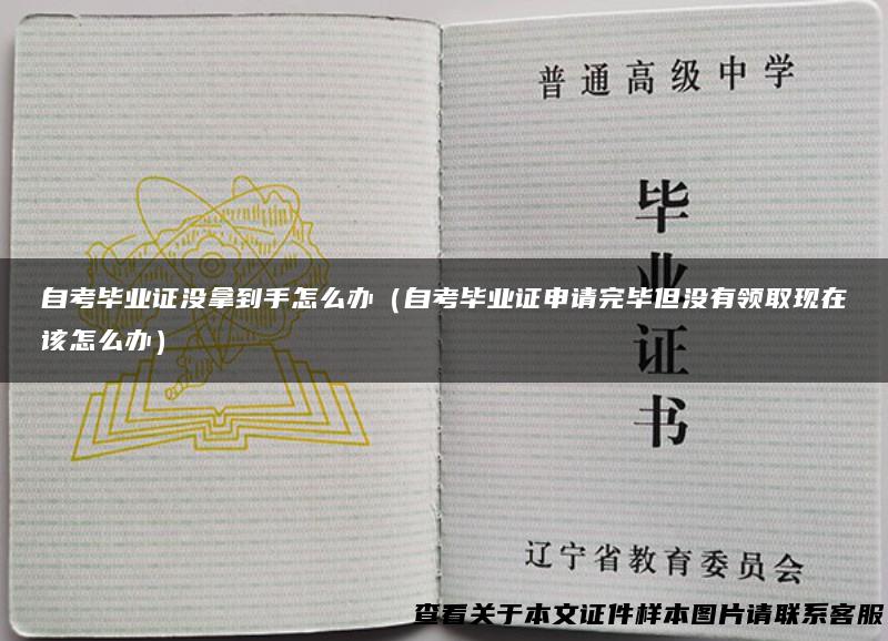 自考毕业证没拿到手怎么办（自考毕业证申请完毕但没有领取现在该怎么办）
