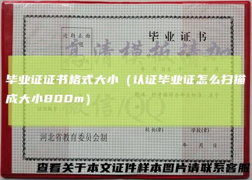 毕业证证书格式大小（认证毕业证怎么扫描成大小800m）