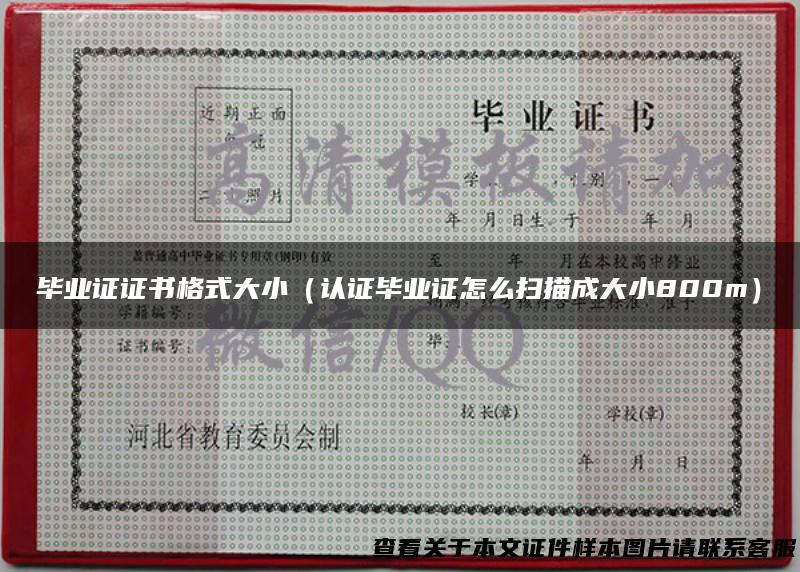毕业证证书格式大小（认证毕业证怎么扫描成大小800m）