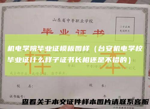 机电学院毕业证模板图样（台安机电学校毕业证什么样子证书长相还是不错的）