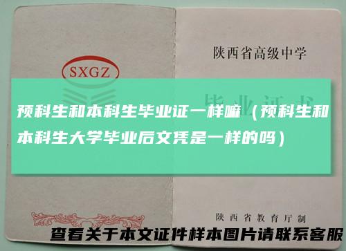 预科生和本科生毕业证一样嘛(预科生和本科生大学毕业后文凭是一样的吗)