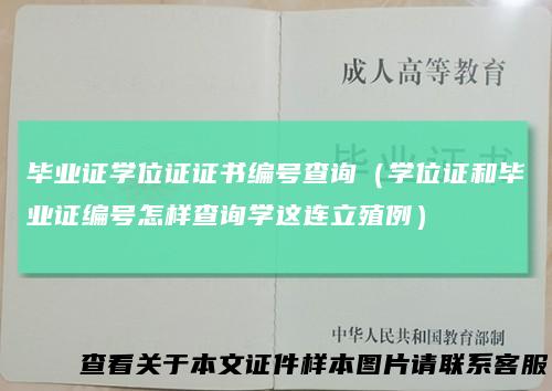 毕业证学位证证书编号查询（学位证和毕业证编号怎样查询学这连立殖例）