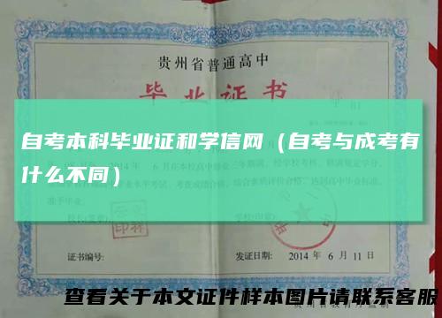 自考本科毕业证和学信网（自考与成考有什么不同）