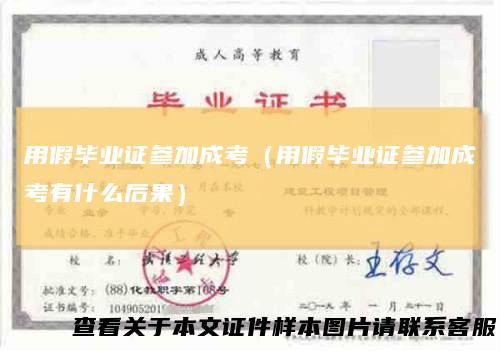 用假毕业证参加成考（用假毕业证参加成考有什么后果）