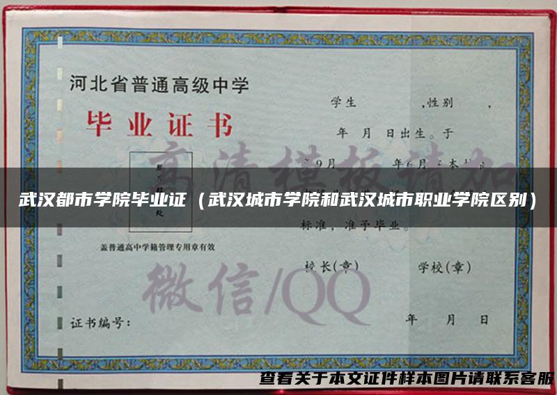武汉都市学院毕业证（武汉城市学院和武汉城市职业学院区别）