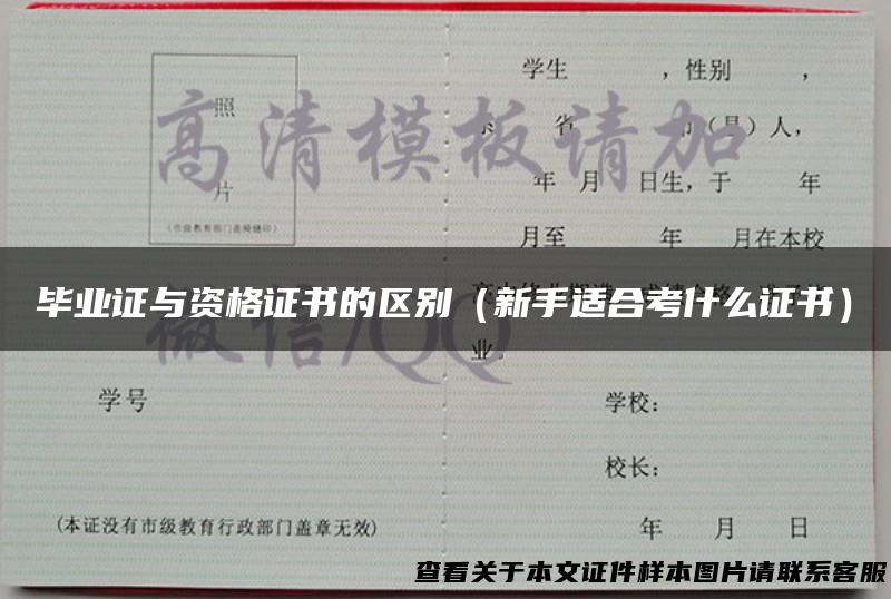 毕业证与资格证书的区别（新手适合考什么证书）