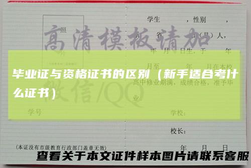 毕业证与资格证书的区别（新手适合考什么证书）