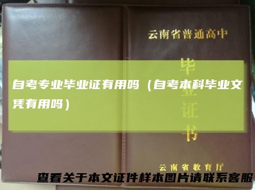 自考专业毕业证有用吗（自考本科毕业文凭有用吗）
