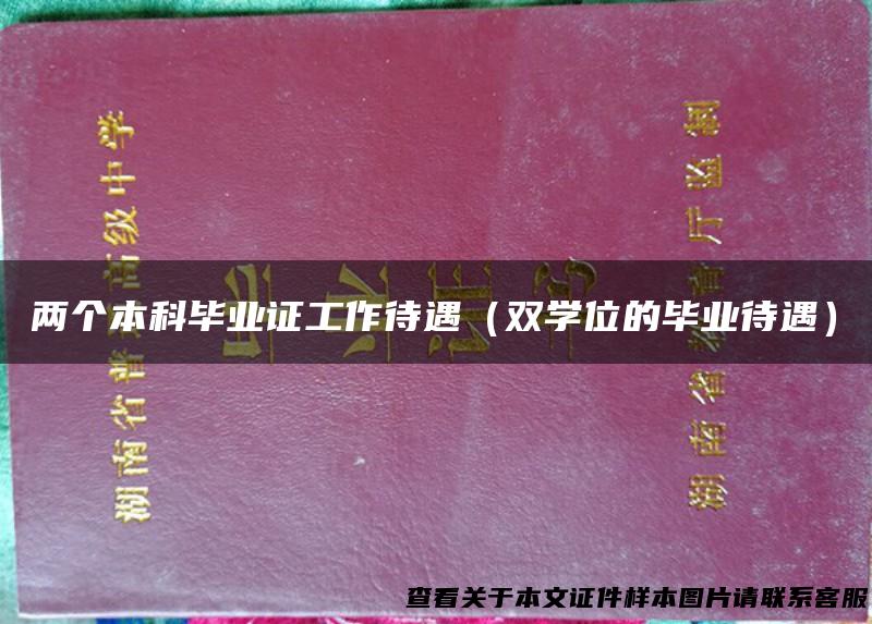 两个本科毕业证工作待遇（双学位的毕业待遇）