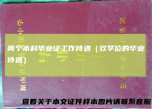 两个本科毕业证工作待遇（双学位的毕业待遇）