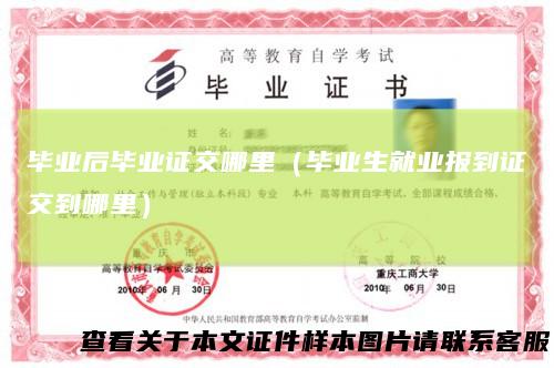 毕业后毕业证交哪里（毕业生就业报到证交到哪里）