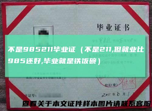 不是985211毕业证(不是211,但就业比985还好,毕业就是铁饭碗)