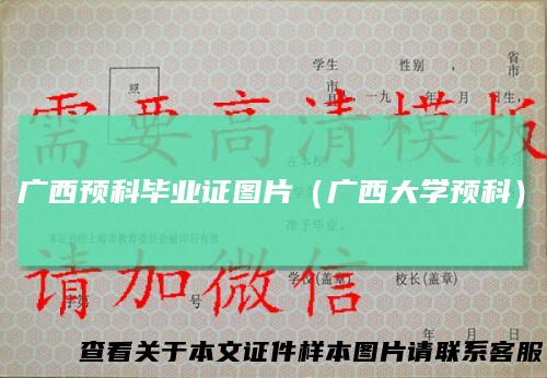 广西预科毕业证图片（广西大学预科）