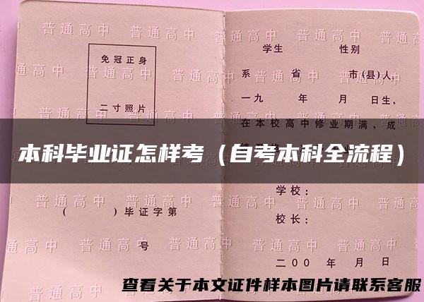 本科毕业证怎样考（自考本科全流程）