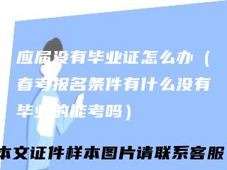 应届没有毕业证怎么办（春考报名条件有什么没有毕业的能考吗）