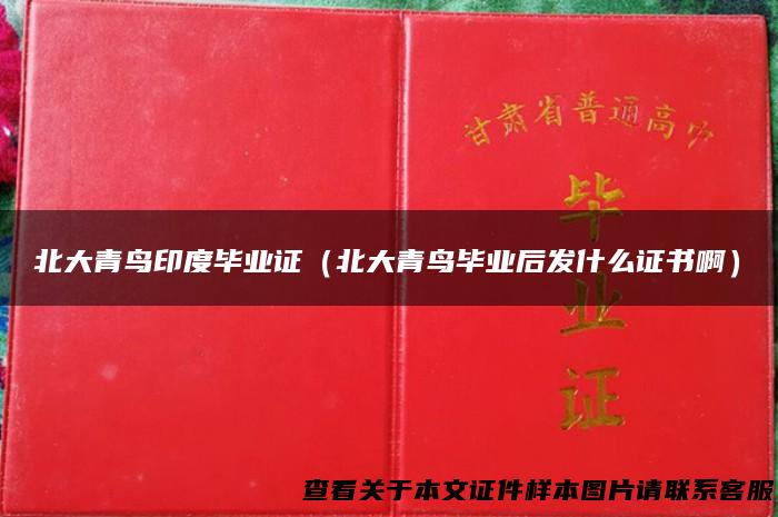 北大青鸟印度毕业证（北大青鸟毕业后发什么证书啊）