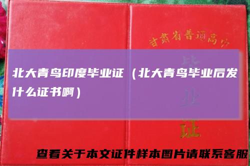北大青鸟印度毕业证(北大青鸟毕业后发什么证书啊)