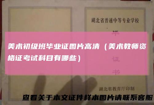 美术初级班毕业证图片高清（美术教师资格证考试科目有哪些）