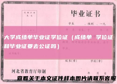 大学成绩单毕业证学位证（成绩单 学位证和毕业证要去公证吗）