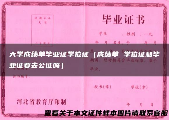 大学成绩单毕业证学位证（成绩单 学位证和毕业证要去公证吗）