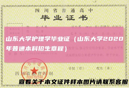 山东大学护理学毕业证（山东大学2020年普通本科招生章程）