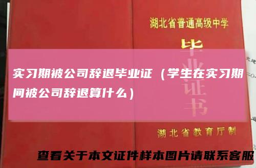 实习期被公司辞退毕业证（学生在实习期间被公司辞退算什么）