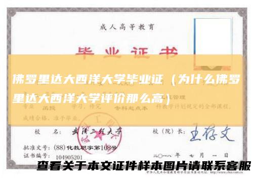 佛罗里达大西洋大学毕业证（为什么佛罗里达大西洋大学评价那么高）