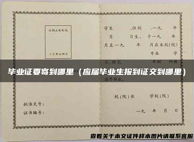 毕业证要寄到哪里（应届毕业生报到证交到哪里）