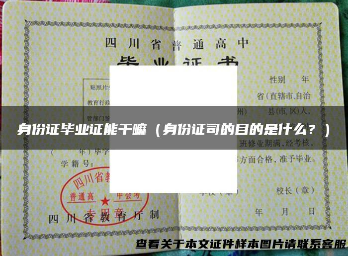 身份证毕业证能干嘛（身份证司的目的是什么？）