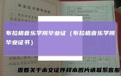 布拉格音乐学院毕业证（布拉格音乐学院毕业证书）