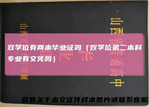 双学位有两本毕业证吗（双学位第二本科专业有文凭吗）