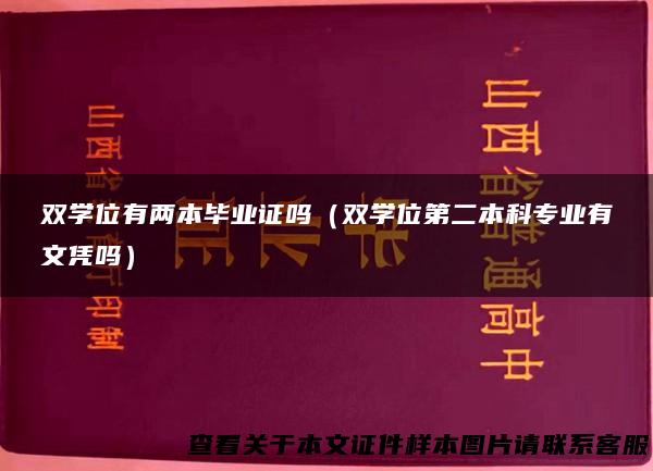 双学位有两本毕业证吗（双学位第二本科专业有文凭吗）