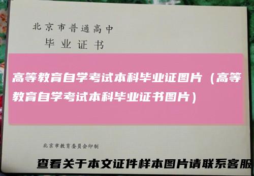 高等教育自学考试本科毕业证图片（高等教育自学考试本科毕业证书图片）
