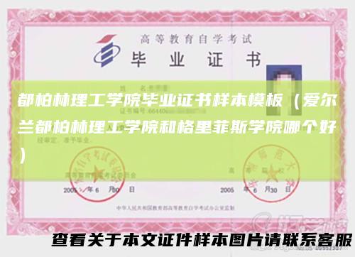 都柏林理工学院毕业证书样本模板(爱尔兰都柏林理工学院和格里菲斯学院哪个好)
