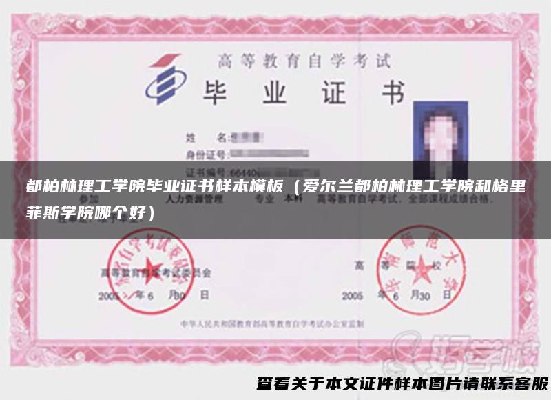 都柏林理工学院毕业证书样本模板（爱尔兰都柏林理工学院和格里菲斯学院哪个好）