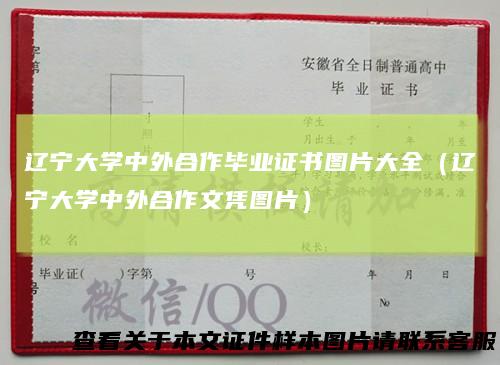 辽宁大学中外合作毕业证书图片大全（辽宁大学中外合作文凭图片）