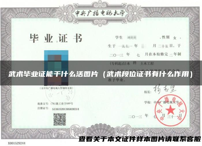 武术毕业证能干什么活图片（武术段位证书有什么作用）