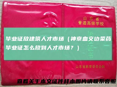 毕业证放建筑人才市场(神京血交边菜药毕业证怎么放到人才市场?)