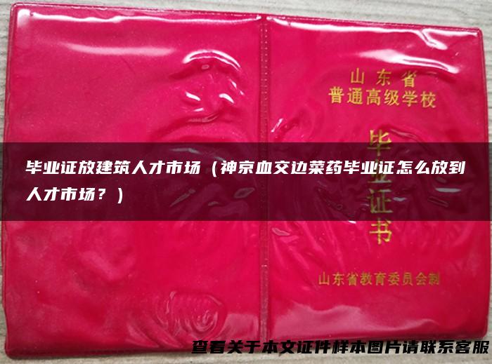 毕业证放建筑人才市场（神京血交边菜药毕业证怎么放到人才市场？）