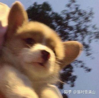 早教毕业证书模版图片（成绩不能毕业的原因,对我的影响还没有结束）插图44