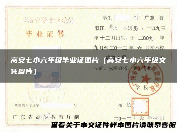 高安七小六年级毕业证图片（高安七小六年级文凭图片）