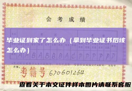 毕业证到家了怎么办(拿到毕业证书后该怎么办)
