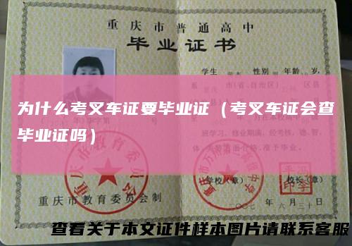 为什么考叉车证要毕业证(考叉车证会查毕业证吗)